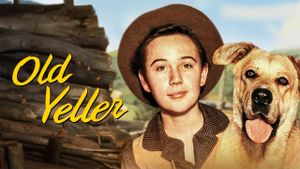Old Yeller's poster