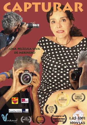 Capturar: Las 1001 novias's poster