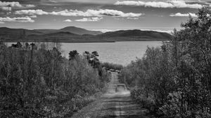 Solitary Road's poster