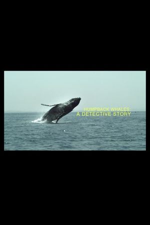 Humpback Whales: A Detective Story's poster