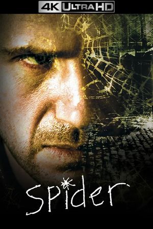 Spider's poster