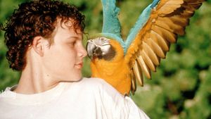The Real Macaw's poster