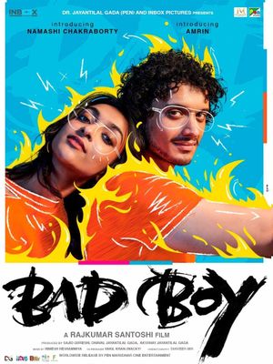 Bad Boy's poster image