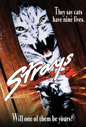 Strays's poster