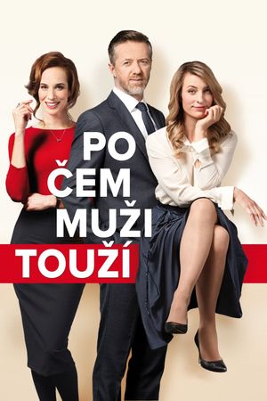 Po cem muzi touzí's poster