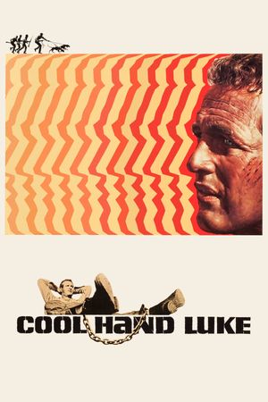 Cool Hand Luke's poster