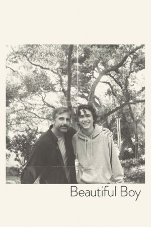 Beautiful Boy's poster
