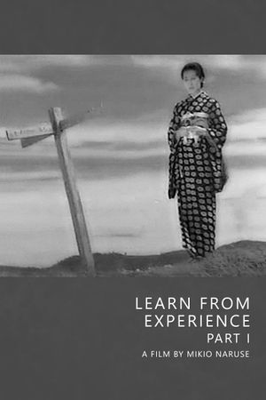 Learn from Experience, Part I's poster