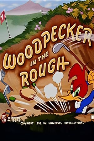 Woodpecker in the Rough's poster