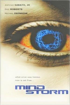 Mindstorm's poster