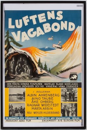 Luftens vagabond's poster image