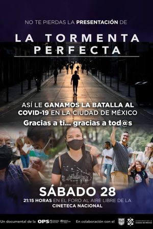 La tormenta perfecta's poster