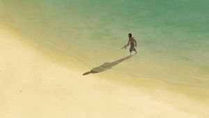 The Red Turtle's poster