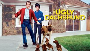 The Ugly Dachshund's poster