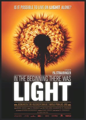 In the Beginning There Was Light's poster