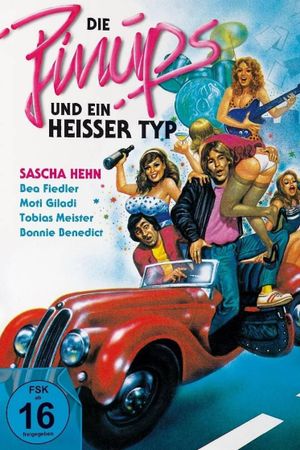 Die Pinups und ein heißer Typ's poster