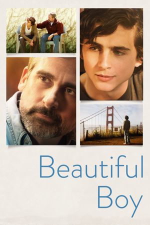 Beautiful Boy's poster