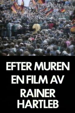 Efter Muren - mellan taggtråd och kaos's poster