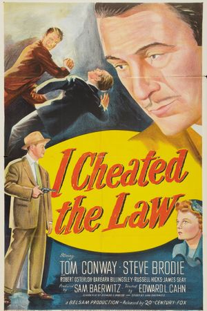 I Cheated the Law's poster image