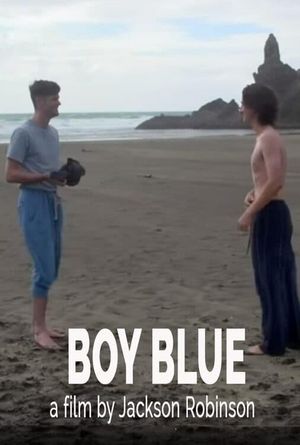 Boy Blue's poster
