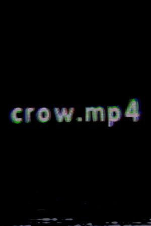 crow.mp4's poster