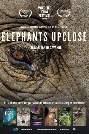 Elephants Up Close's poster