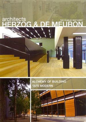 Architects Herzog and De Meuron: Alchemy of Building's poster image