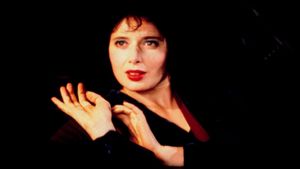 Blue Velvet's poster