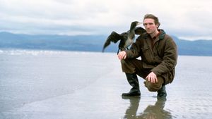 The Cormorant's poster