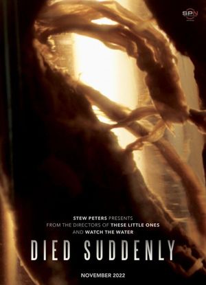 Died Suddenly's poster
