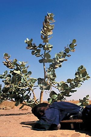 Tchissète, The Mirror of the Tuareg's poster