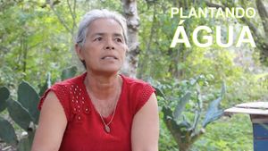 Plantando Água's poster