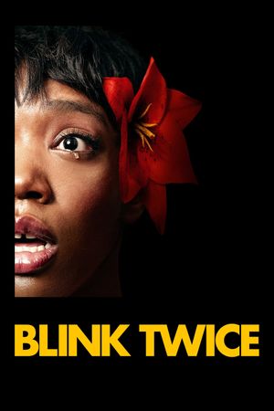Blink Twice's poster