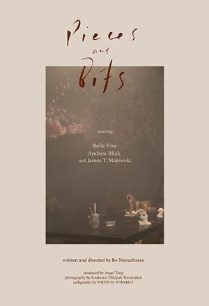 Pieces & Bits's poster image