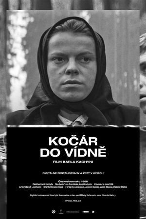 Carriage to Vienna's poster