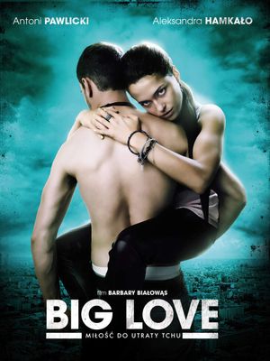Big Love's poster
