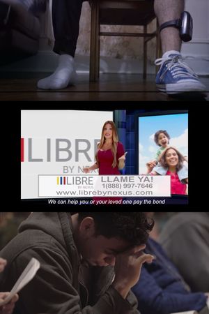 Libre's poster image