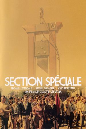 Special Section's poster