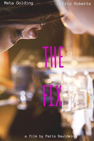 The Fix's poster