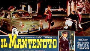 Il mantenuto's poster