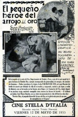 El pequeño héroe del Arroyo del Oro's poster image