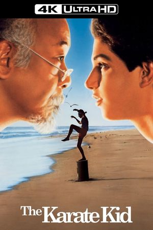The Karate Kid's poster