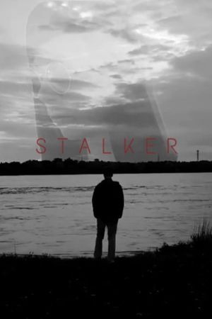 Stalker's poster