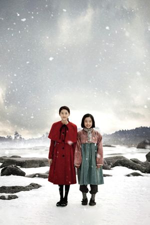 Snowy Road's poster