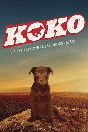 Koko: A Red Dog Story's poster