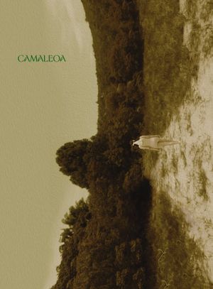 Camaleoa's poster image