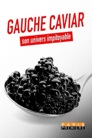 Gauche caviar, son univers impitoyable's poster image