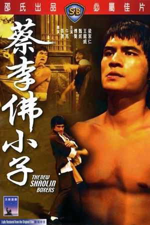 The New Shaolin Boxers's poster