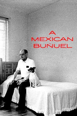 Un Buñuel mexican's poster