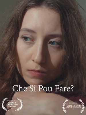 Che Si Può Fare?'s poster